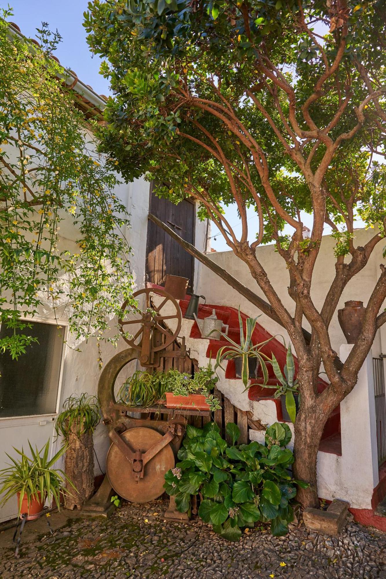 Holiday home Tragaluz Ii *